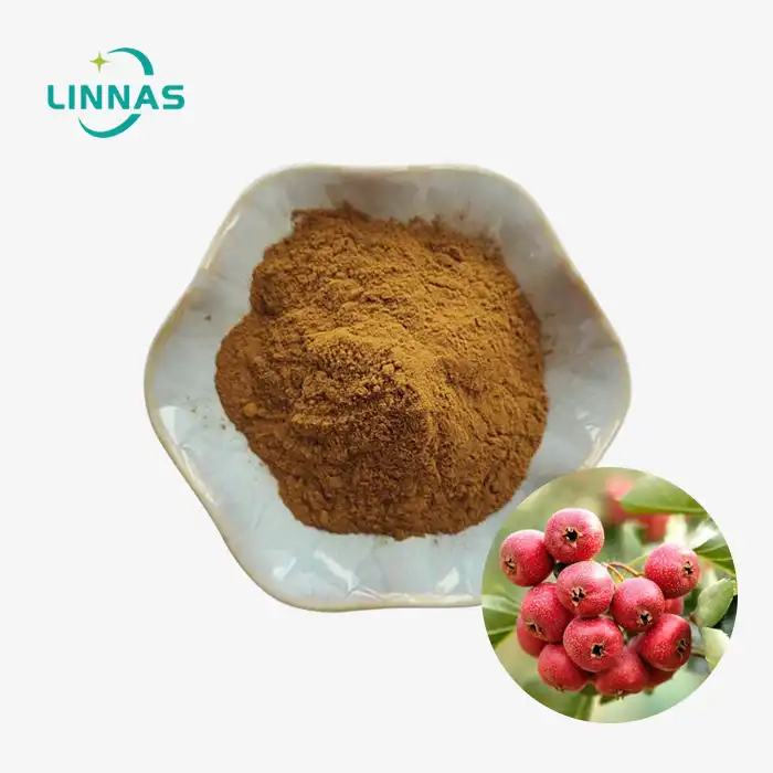 Hawthorn Berry Extract Powder